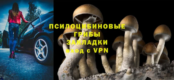 гидропоника Михайловка