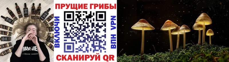 Галлюциногенные грибы GOLDEN TEACHER  Камышин 