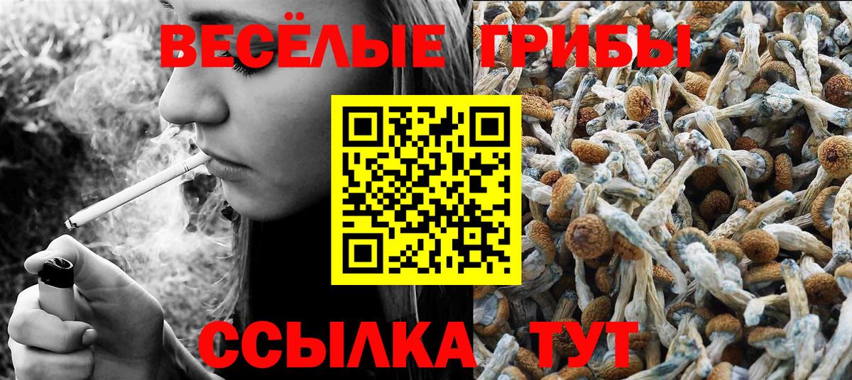 Псилоцибиновые грибы MAGIC MUSHROOMS Камышин