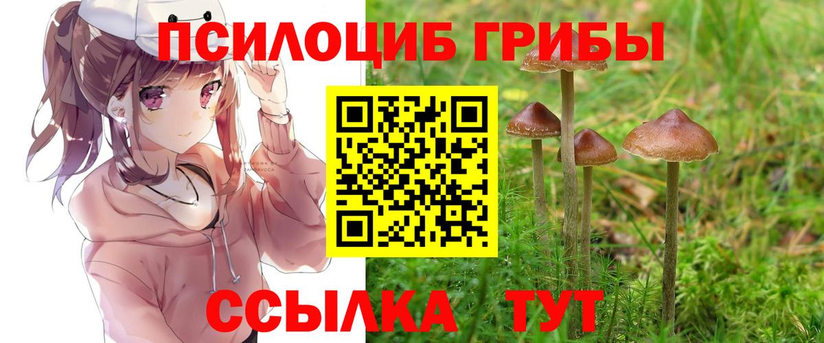 Галлюциногенные грибы прущие грибы  Вход с VPN  Камышин  Галлюциногенные грибы Magic Shrooms 
